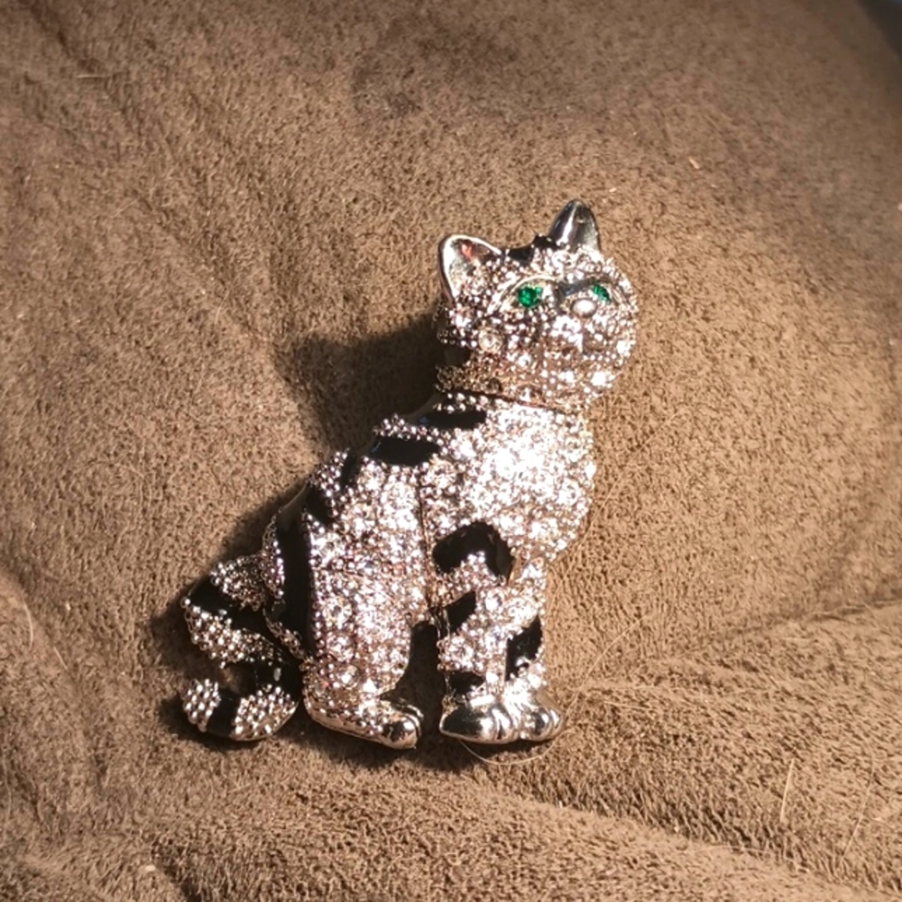 Cat brooch
